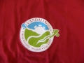 2010 Adult Maroon Vandalia Shirt, Large Logo